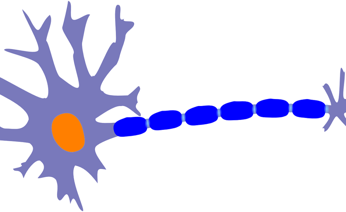 neuron-g0443e2025_1280